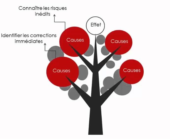 L'arbre des causes